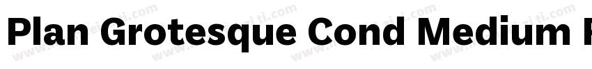Plan Grotesque Cond Medium Regular字体转换